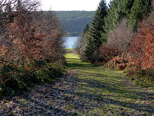 A glimpse of Trimpley Reservoir - geograph.org.uk - 3276161