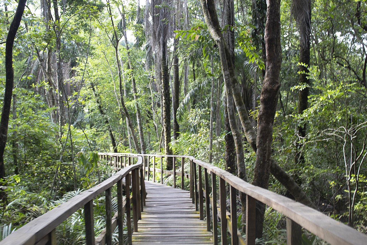 Lekki Conservation Centre near Odogunyan