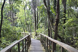 <span class="mw-page-title-main">Lekki Conservation Centre</span> Biodiversity conservation center in Lagos, Nigeria