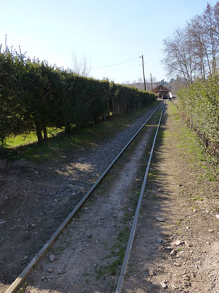 File:Abreschviller-Rails du petit train (2).jpg