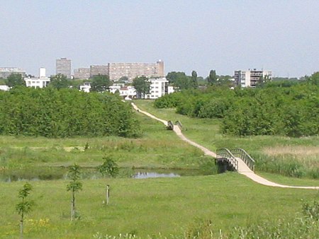 Abtwoudsebos delft 001