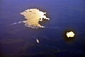 Aerial - Millerton Lake, CA 02.jpg