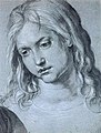 Albrecht Dürer - Head of the Twelve Year Old Christ - WGA07061.jpg