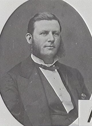 <span class="mw-page-title-main">John Davies (New South Wales politician)</span> Australian politician (1839–1896)