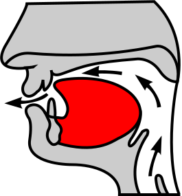 File:Alveolar2.svg