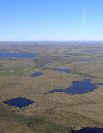 Laagland van Anadyr