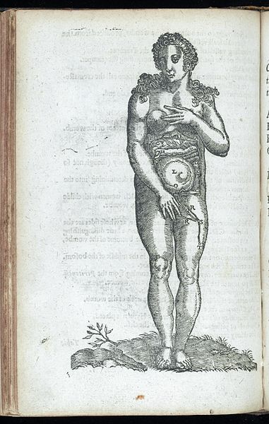 File:Anatomical illustration of a pregnant woman Wellcome L0046458.jpg