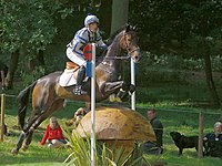 "Skinny" fences are designed to test the training of the horse and the rider's ability to ride accurately, and provide the horse an easy "way out" if the rider does a poor job Andrew hoy master monarch coutts curve burghley 2007.jpg