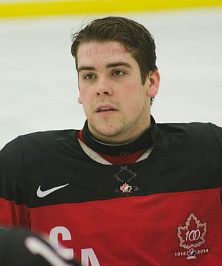 <span class="mw-page-title-main">Anthony Gale (sledge hockey)</span> Canadian ice sledge hockey player