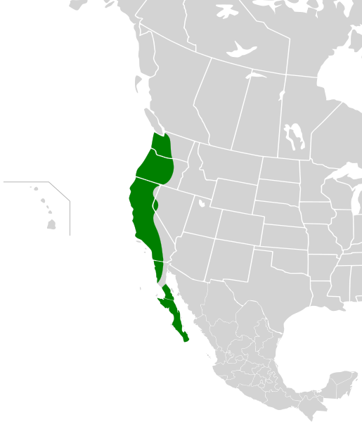 File:Aphelocoma californica map.svg