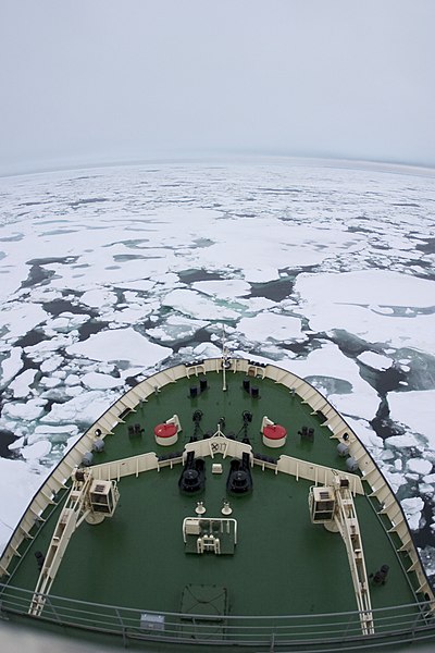 File:Arct0021 - Flickr - NOAA Photo Library.jpg