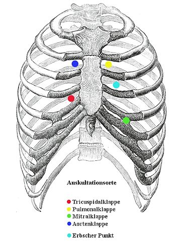 File:Auskultation.jpg