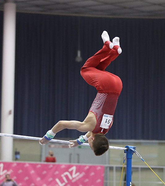 File:Austrian Future Cup 2018-11-24 Group 3 Rotation 6 Horizontal bar (Martin Rulsch) 327.jpg