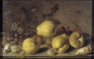 fruit-stillife