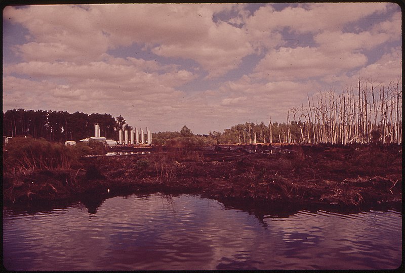 File:BAYOU SEGNETTE SWAMPLAND, WHICH HAS BEEN DEVASTATED BY RUNOFF PETROLEUM SLUDGE FROM THE NATURAL GAS INSTALLATION IN... - NARA - 546073.jpg