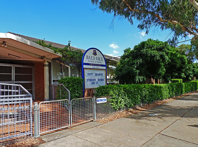 File:Bald Face Public School, Stuart Street, Blakehurst, New South Wales (2010-12-17) 01.jpg