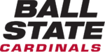 Top Devlet Atletizm wordmark.png