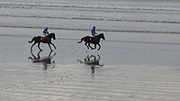 Traditionelles Weihnachts-Pferderennen am Strand von Ballyheigue