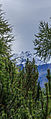 * Nomination Mountain hike of Gimillan (1805m.) At Colle Tsa Sètse Cogne Valley (Italy). View of the surrounding Alpine peaks of Gran Paradiso. Famberhorst 16:02, 27 November 2015 (UTC) * Promotion Nice detail, in focus where it needs to be --Daniel Case 04:12, 4 December 2015 (UTC)