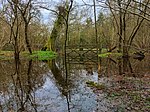 Park Wood and Goulding's Wood