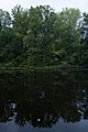 * Nomination Trees and Plants reflecting off Ashton Pond at Dawn -- Sixflashphoto 02:42, 6 October 2017 (UTC) * Promotion Natural mood as you captured the photo. Good quality. -- Johann Jaritz 03:17, 6 October 2017 (UTC)