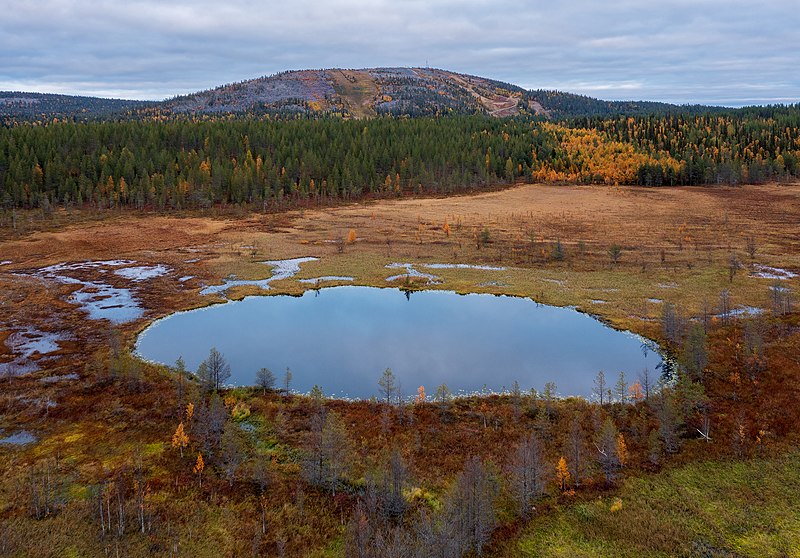 File:Bog with a pond near Ruuhijoki and Sallatunturi in Salla, Lapland, Finland, 2021 September - 2.jpg