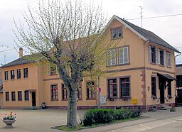 Skole