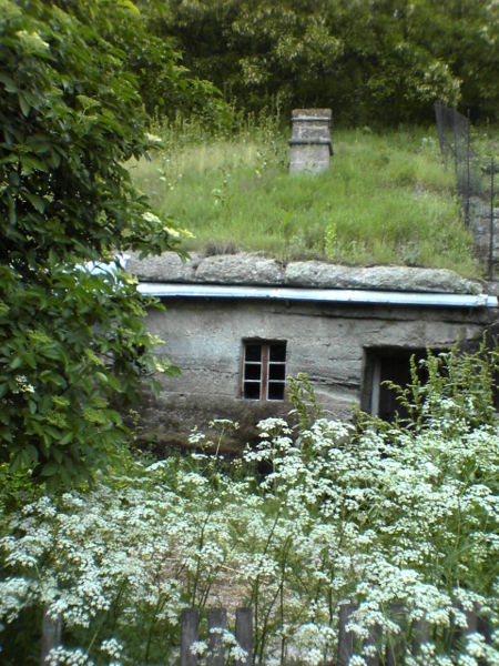 Brhlovce typical dwelling