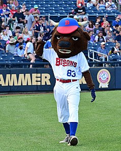 Buffalo Bisons Mascot At Trenton Thunder Game.jpg