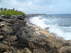 Cayo Sombrero, parque nacional Morrocoy, Estado Falcón.