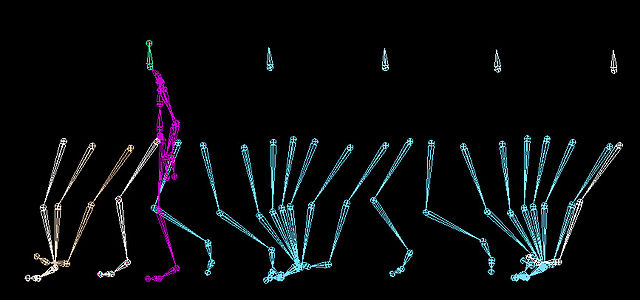 Computer simulation of a human walk cycle. In this model the head keeps the same level at all times, whereas the hip follows a sine curve.