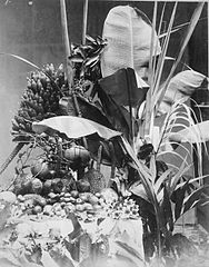 Fruits tropicaux, collection Tropen Museum, photographe inconnu.