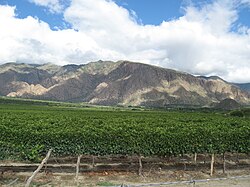 Noroeste Argentino: Historia, Biomas, Fisiografía