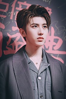 Cai Xukun nel 2018.jpg