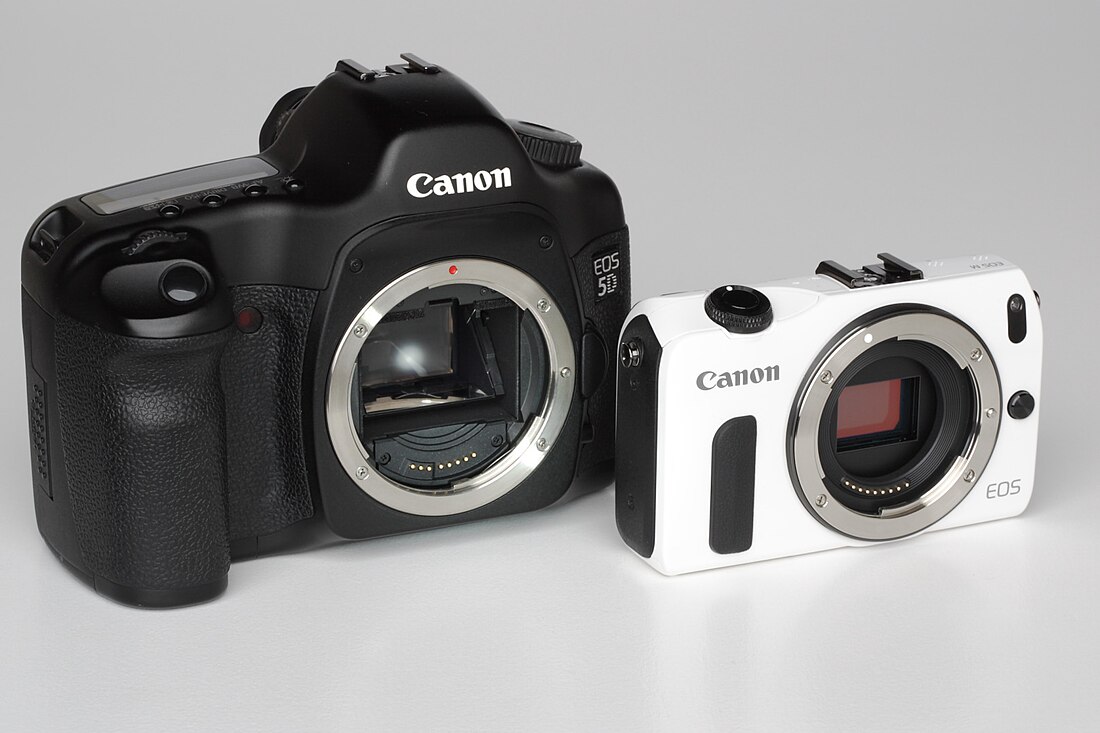 File:Canon EOS-5D vs EOS-M.JPG