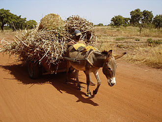 carriole tirée par un âne