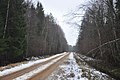 Ceļš mežā Pāles pagastā, netālu no Tenīšiem, Pāles pagasts, Limbažu novads, Latvia - panoramio.jpg