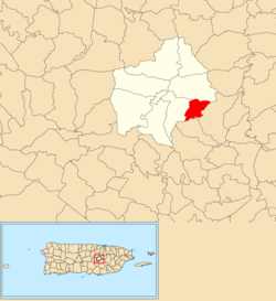Location of Cejas within the municipality of Comerío shown in red