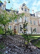 Chateau garden.jpg