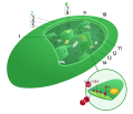 Miniatura della versione delle 23:15, 3 feb 2013