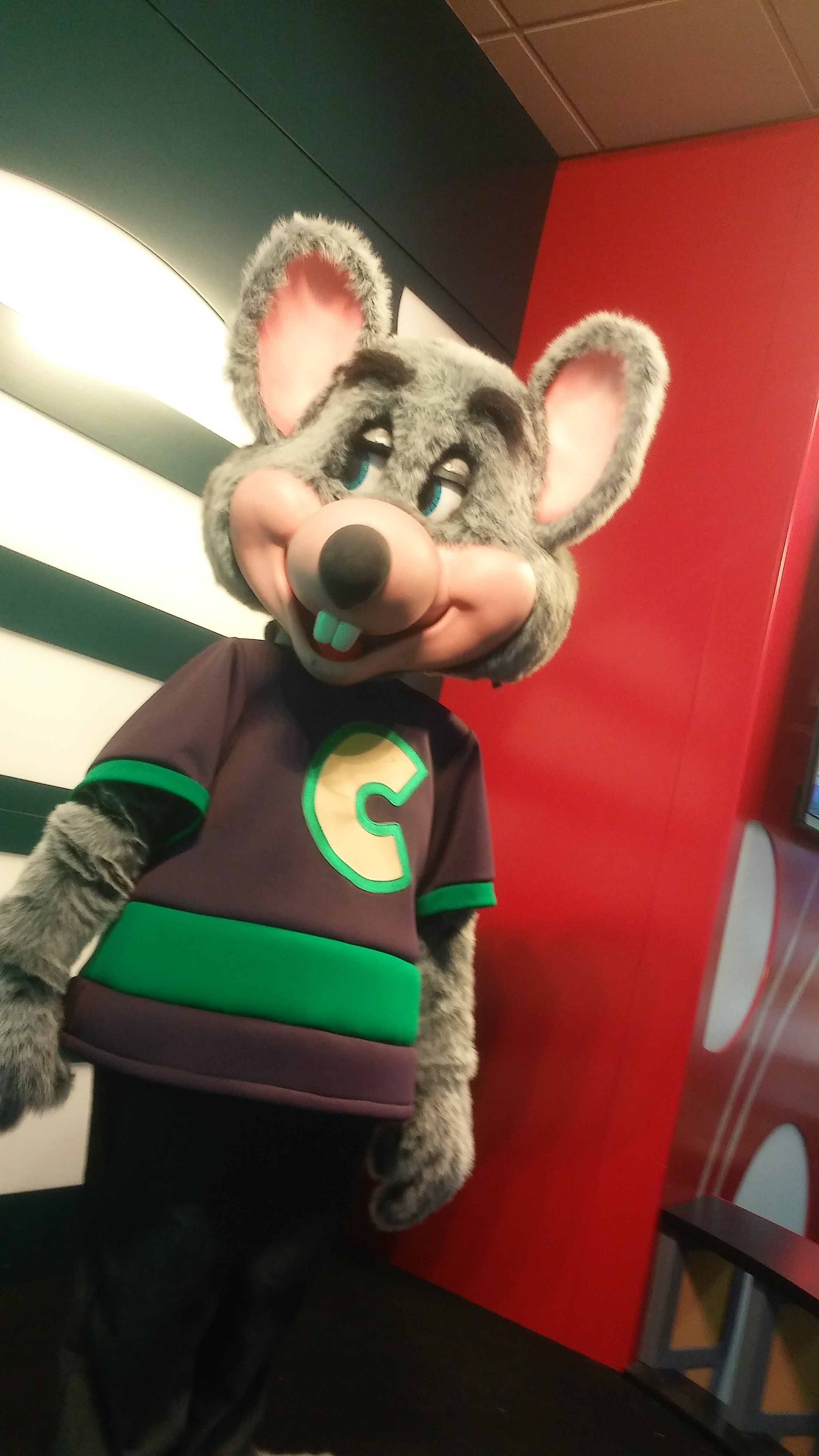 File Chuck E Cheese Animatronic Chandler Arizona Jpg Wikimedia Commons