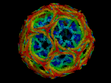 Clathrin.png