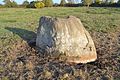 Menhir du Marais de la Roche