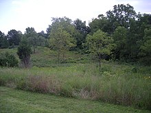 Fox Hollow Prairie County Farm Park August 2013 09 (Fox Hollow Prairie).jpg