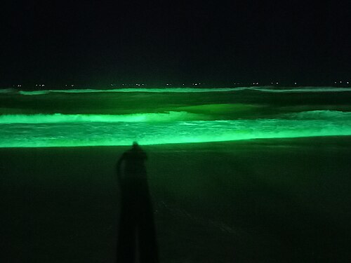 Cox's Bazar Sea Beach at night