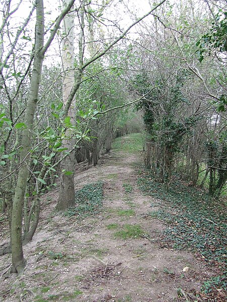 File:Cross Bank - geograph.org.uk - 4746674.jpg