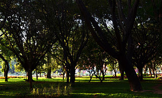 Cubbon Park Neighbourhood in Bengaluru Urban, Karnataka, India