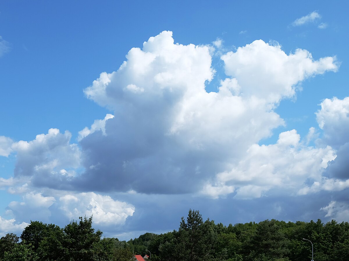 Облако в галерее. Cumulus mediocris. Размер среднего облака. Хёнун облако Вики. Ханыль облако Вики.