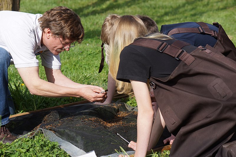 File:Dan Everson points out a stream insect (8695414105).jpg