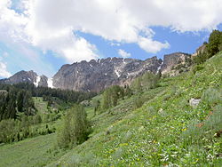 Vrchol Deseret Peak